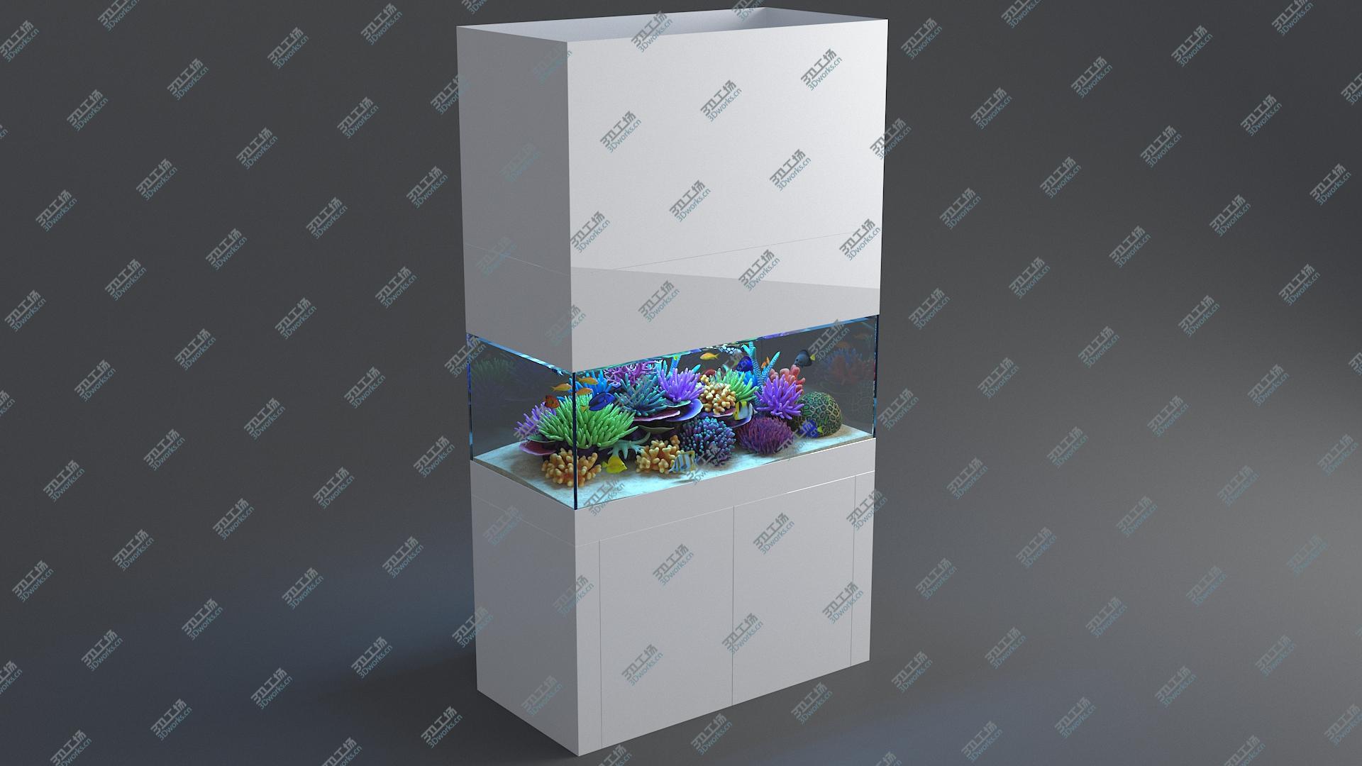 images/goods_img/202104093/3D Aquarium 02 model/2.jpg